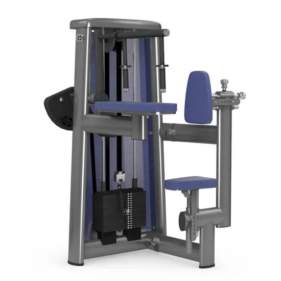 gym80 Sygnum Triceps Extension gym80 Sygnum Triceps Extension