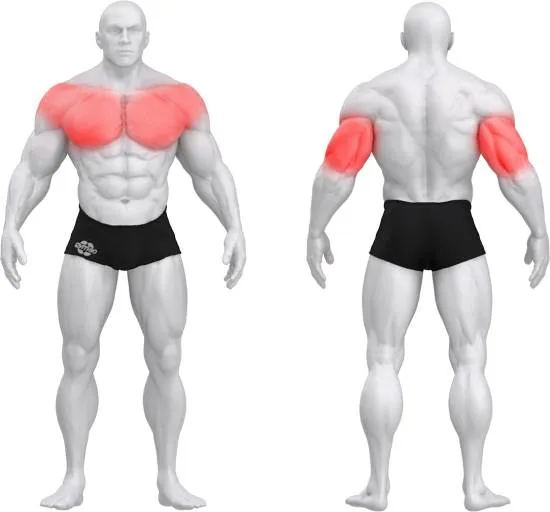 gym80 Pure Kraft Dual Decline Chest Press fra gym80 gym80 Pure Kraft Dual Decline Chest Press fra gym80