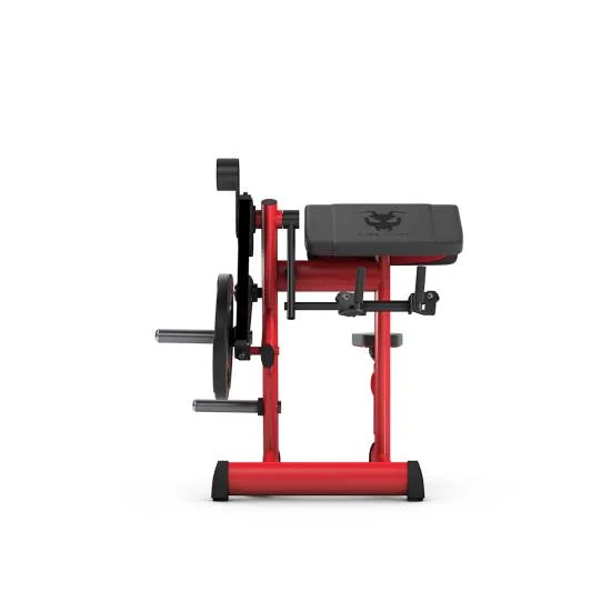 gym80 Pure Kraft Biceps Curl fra gym80