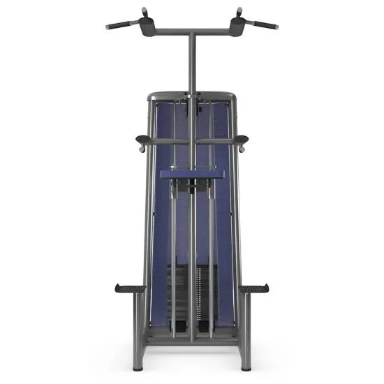 gym80 Sygnum Supported Chin-Up/Dips Machine fra gym80