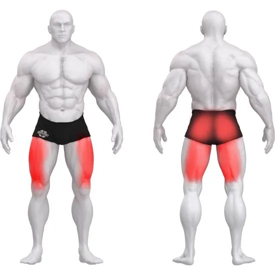 gym80 Sygnum Dual Leg Press fra gym80 gym80 Sygnum Dual Leg Press fra gym80