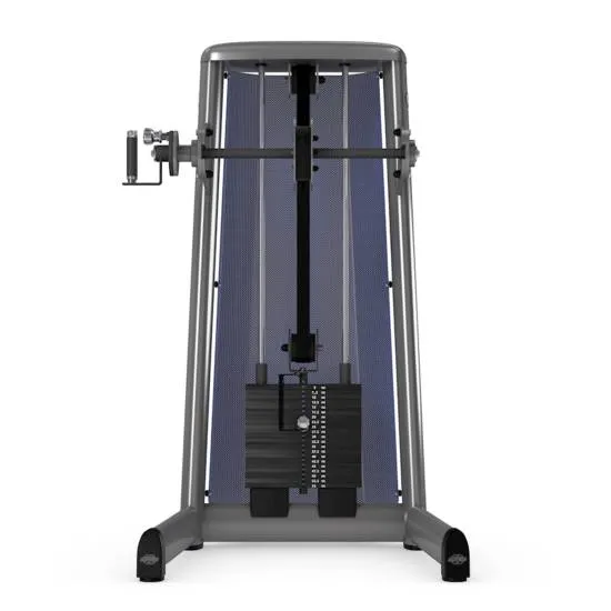 gym80 Sygnum Forearms Machine fra gym80