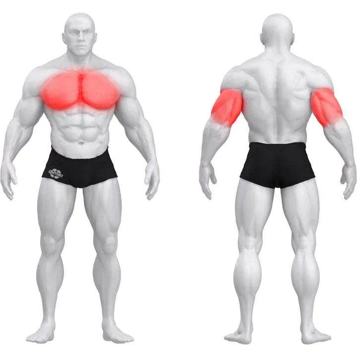 gym80 Sygnum Dual Chest Press fra gym80