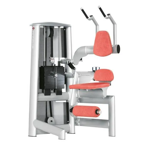 gym80 Sygnum Abdominal Machine fra gym80 gym80 Sygnum Abdominal Machine fra gym80