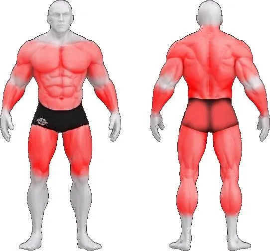 gym80 Sygnum Stations Adjustable V-Machine fra gym80 gym80 Sygnum Stations Adjustable V-Machine fra gym80