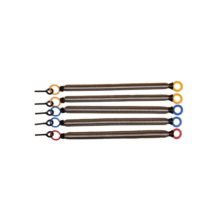 XRCYCE Fjærsett til Reformer