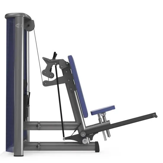 gym80 Sygnum Triceps Overhead Press fra gym80