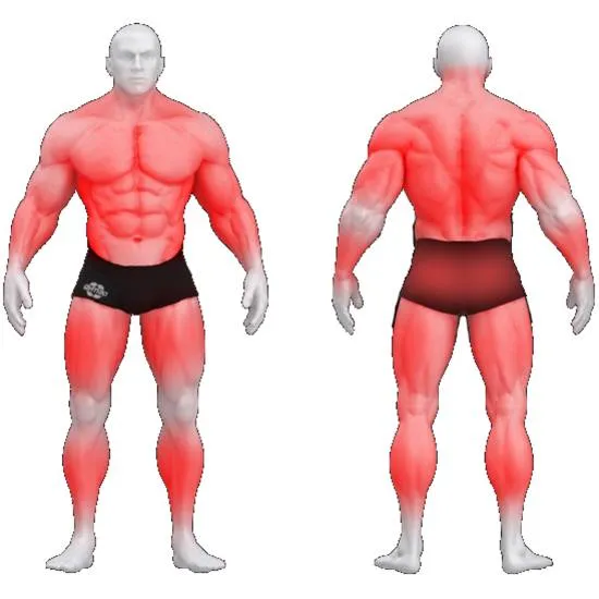 gym80 Sygnum Dual Deadlift Machine fra gym80 gym80 Sygnum Dual Deadlift Machine fra gym80