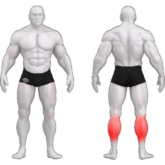 gym80 Sygnum Donkey Calf Raise fra gym80 gym80 Sygnum Donkey Calf Raise fra gym80