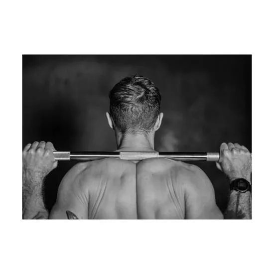 Plakat Stang 70 x 50 cm fra Fitness Engros