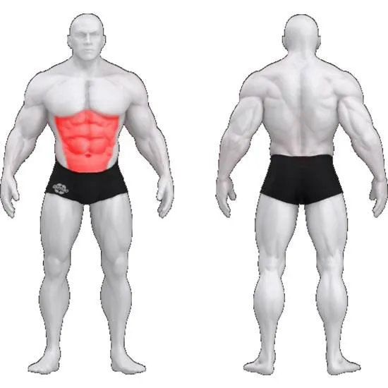 gym80 Sygnum Special Abdominal Machine fra gym80 gym80 Sygnum Special Abdominal Machine fra gym80
