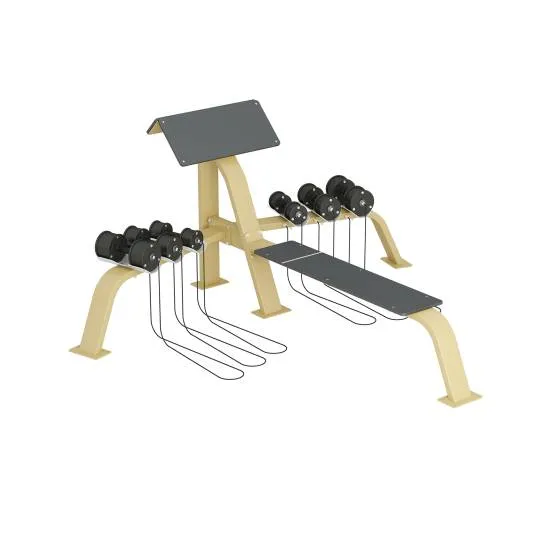 Inter Atletika Scott Bench/Bench Press With Dumbells Galvanized