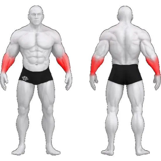 gym80 Sygnum Forearms Machine fra gym80 gym80 Sygnum Forearms Machine fra gym80