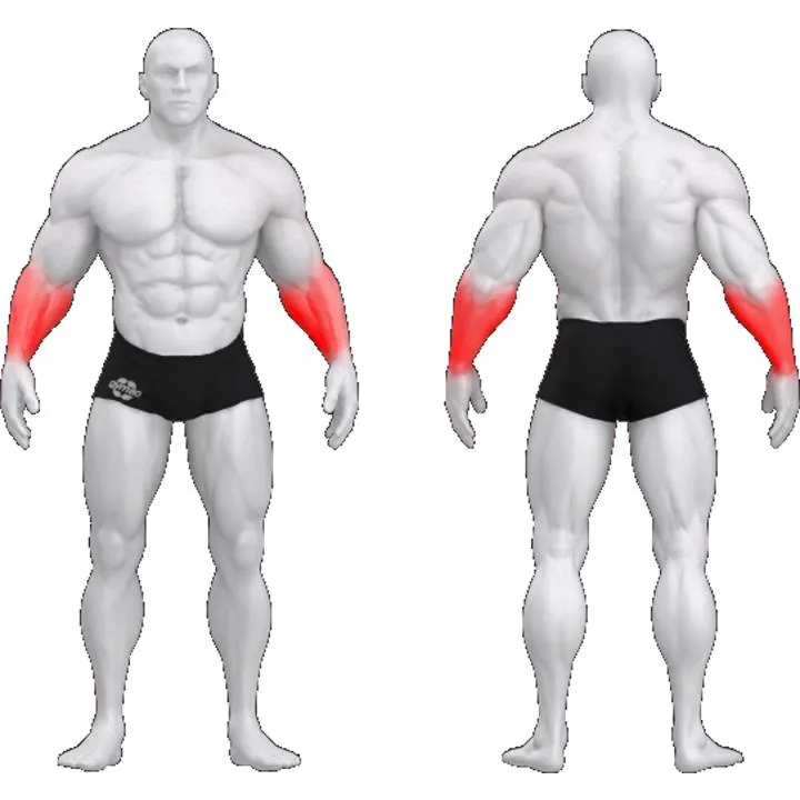 gym80 Sygnum Forearms Machine fra gym80