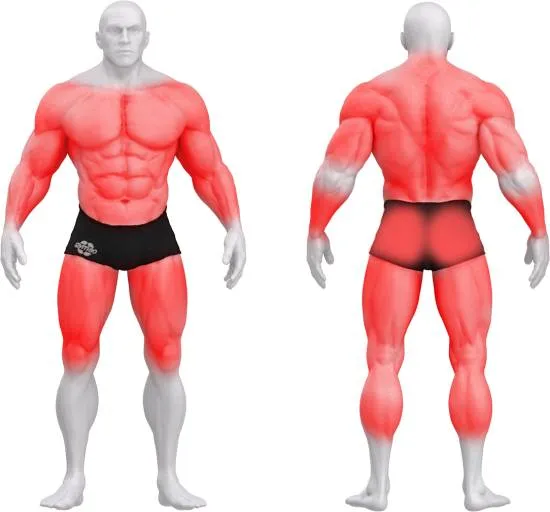 gym80 Sygnum Stations Adjustable Cable Crossover fra gym80 gym80 Sygnum Stations Adjustable Cable Crossover fra gym80