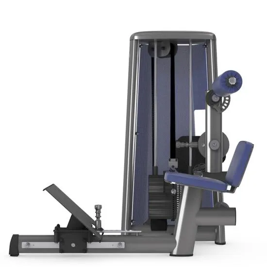 gym80 Sygnum Lower Back Machine w/Adj. Footplate fra gym80