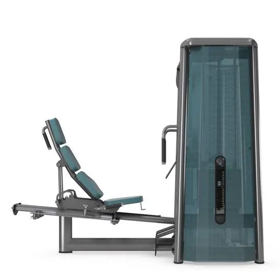 gym80 Sygnum Dual Leg Press fra gym80