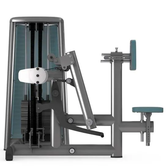 gym80 Sygnum Dual Seated Row fra gym80