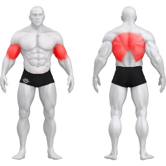 gym80 Sygnum Dual Lat Pulldown fra gym80 gym80 Sygnum Dual Lat Pulldown fra gym80