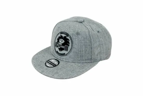 Crossmaxx Snapback Kasket Grey