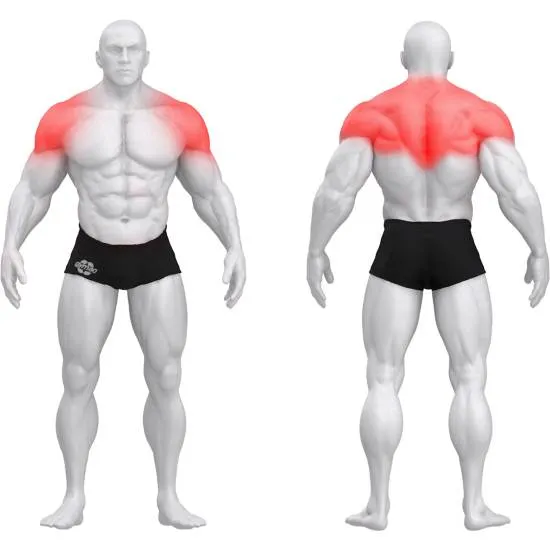 gym80 Sygnum Neck Press fra gym80 gym80 Sygnum Neck Press fra gym80