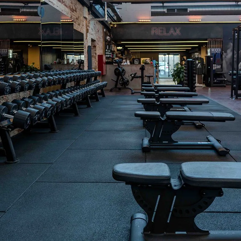 Intervju: Hør Anja Nielsen fortelle om samarbeidet med Fitness Engros Styrketræning hos Apollo Fitness