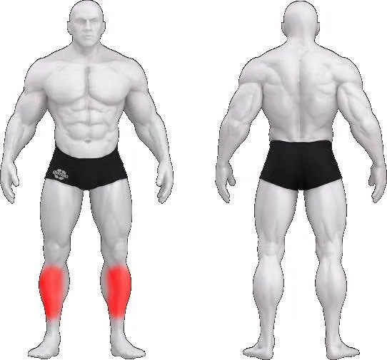 gym80 Pure Kraft Tibia Dorsi Flexion fra gym80 gym80 Pure Kraft Tibia Dorsi Flexion fra gym80