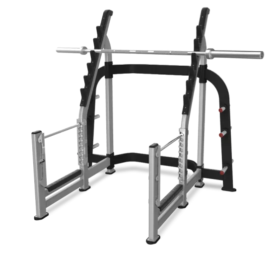 Nautilus Inspiration Olympisk Squat Rack Sølv