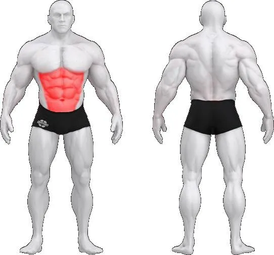 gym80 Pure Kraft Abdominal Crunch fra gym80 gym80 Pure Kraft Abdominal Crunch fra gym80