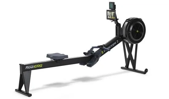 Concept 2 RowErg PM5 D romaskin (Høy)