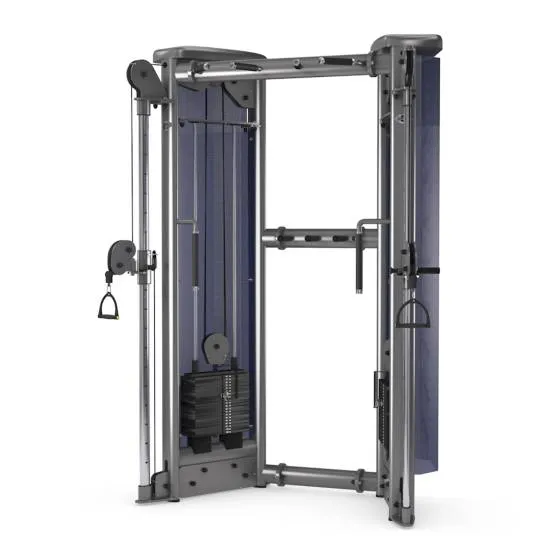 gym80 Sygnum Stations Dual Adjustable Pulley gym80 Sygnum Stations Dual Adjustable Pulley