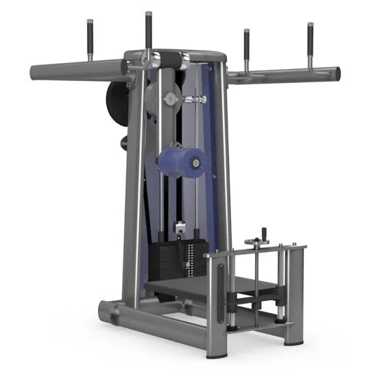 gym80 Sygnum Total Hip Machine