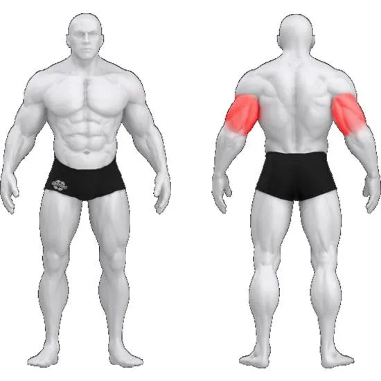 gym80 Sygnum Triceps Overhead Press fra gym80 gym80 Sygnum Triceps Overhead Press fra gym80