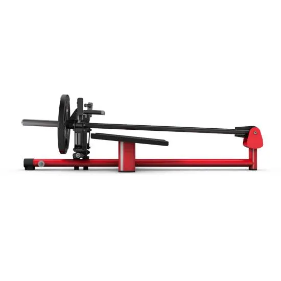 gym80 Pure Kraft Bent Over Row fra gym80