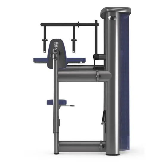 gym80 Sygnum Triceps Extension fra gym80