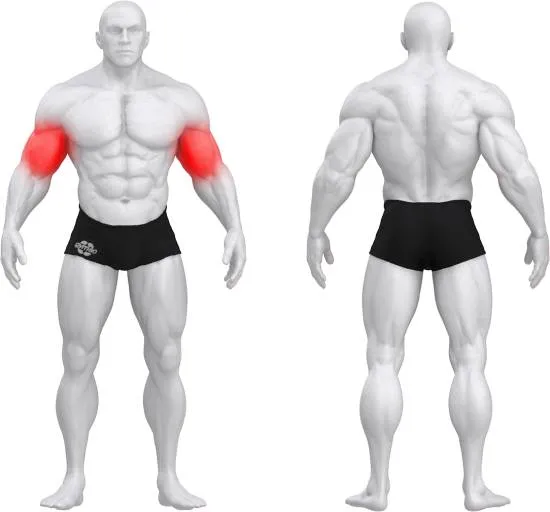 gym80 Pure Kraft Concentration Biceps Curl fra gym80 gym80 Pure Kraft Concentration Biceps Curl fra gym80