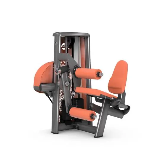 gym80 Sygnum Combo Leg Extension And Leg Curl